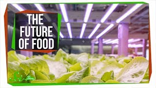 3 Ways We Could Transform the Future of Food