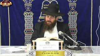 בית המדרש "תורת דוד" ¤ שידור חי ¤ י"א שבט תשפ"ו (29.1.2026) (מוסדות תורת דוד) - התמונה מוצגת ישירות מתוך אתר האינטרנט יוטיוב. זכויות היוצרים בתמונה שייכות ליוצרה. קישור קרדיט למקור התוכן נמצא בתוך דף הסרטון