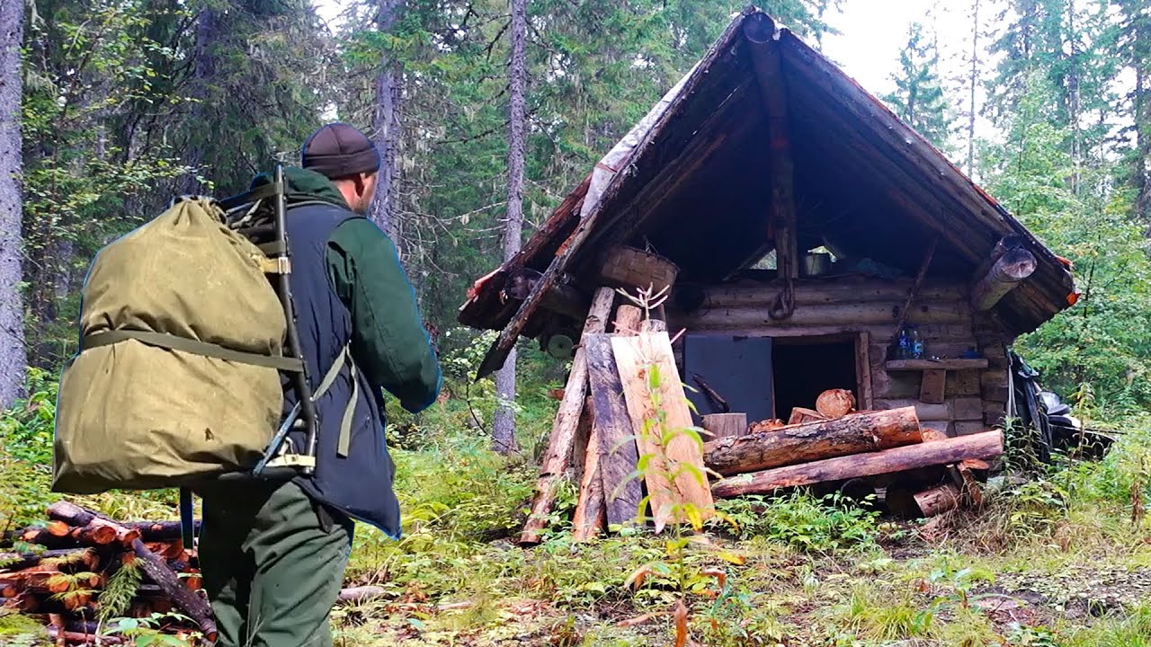 Livе Alone in the Forest, Off Grid cabin, Found an abandoned tiny house in the woods