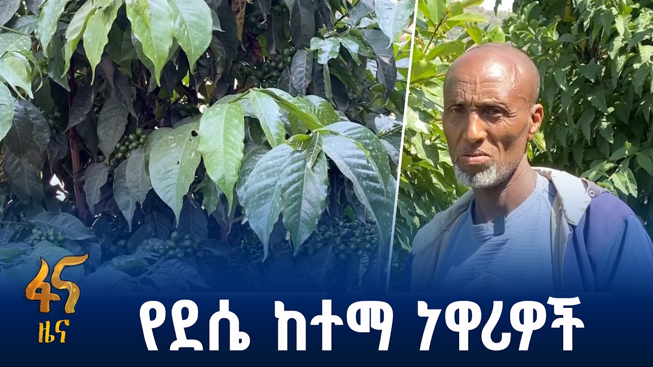 አረንጓዴ አሻራ ለምግብ ዋስትና