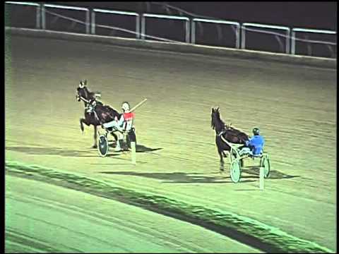 Trotto 29/11/2015 - prova di riqualifica