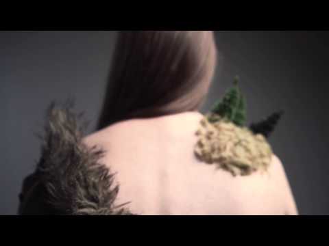 TIMID TIGER - Miracle (Official Video)