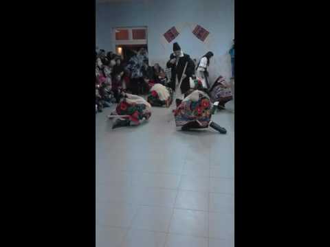 Caprele de la Feldru