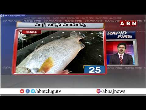 Rapid Fire | Speed News Highlights | 29-12-2021 | ABN Telugu