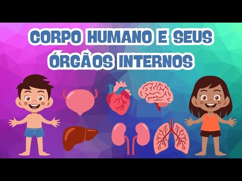 HUMAN BODY: INTERNAL ORGANS AND THEIR FUNCTIONS - Educational Village