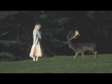 mieke - when bambi found her mother (Music Video)