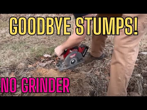DIY Stump Removal - No grinder needed! #shorts #diy #stumpgrinding