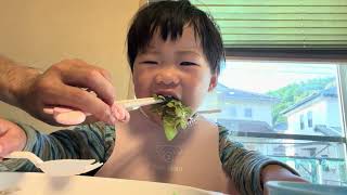 【 親子で楽しむ】🐱 #食事 #育児あるある #成長記録 #子育て#2歳1カ月 79.1cm 10.4kg 