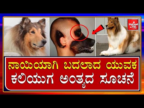 Viral News :Japanese man dog: Person who spent over Rs 16 lakh for dog Kannada viral news updates