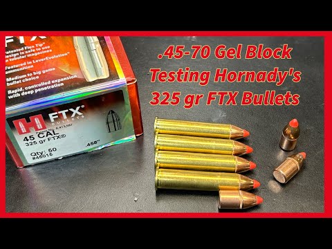LONG RANGE 30-30?! 30-30 Hornady LeverEvolution 160gr FTX Ammo Test
