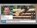 Юрій Марчук Україна – єдина країна в Європі, яка не має стратегії розвитку лісового господарства