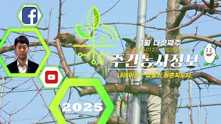 ✨[ 주간농사정보 ] 1월 5째주~2월 1째주 (2025. 01. 27. ~ 02. 09.)