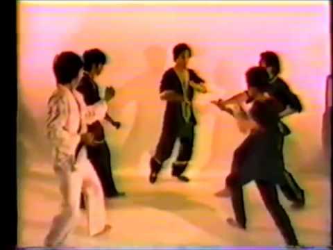 Großmeister Leung Ting: Kampf gegen mehrere Angreifer (Wing Tsun, Wing Chun)