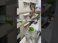 #raindrops🌨️ #mansoonsnacking☔️ #peacefulweathear