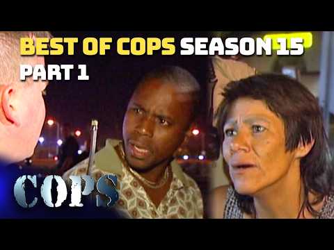 Best of COPS Season 15 Part 1: Chases, Confessions & Chaos | Compilation | COPS TV SHOW
