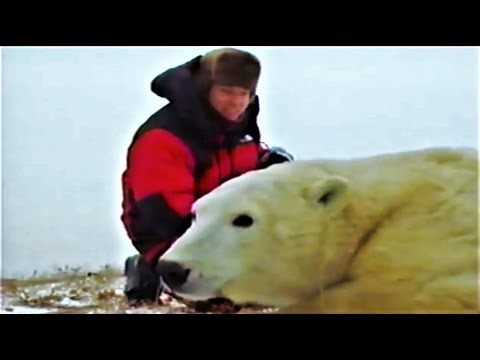 THE POLAR BEARS OF CHURCHILL WITH EWAN MCGREGOR