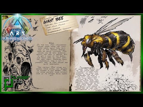 Ark Survival Ascended Basics Queen Bee - EVERYTHING YOU NEED TO KNOW! Updated for ASA