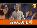 De bijzondere Axolotl + winaar winactie | DierenpraatTV