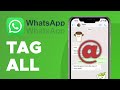 How To Tag Everyone in Whatsapp Group (2024)