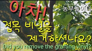 아차!