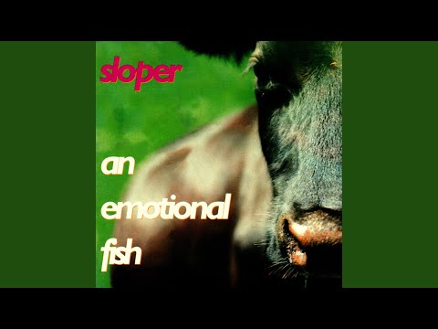Superman - An Emotional Fish