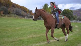 preview picture of video 'Fall Break in Midway, Utah for Mom's 60th Birthday'