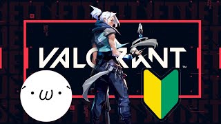 お久しぶりのValorantをやってみる