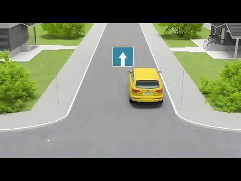 Indovina le risposte giuste | 5 situazioni stradali | Regole del traffico