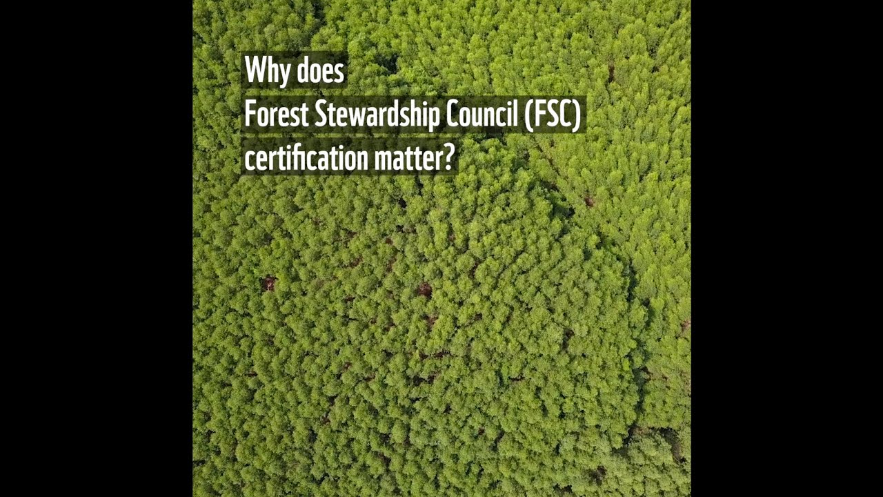 Why does Forest Steward Ship Council (FSC) certification matter?