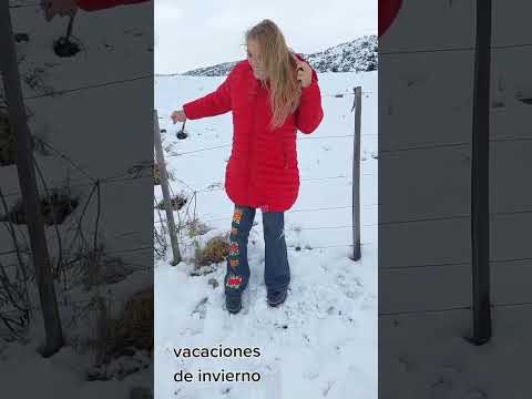 tupungato Mendoza Argentina