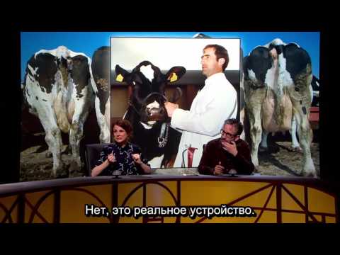 14 10 QI КьюАй Quite Interesting - Nature Nurture (субтитры)