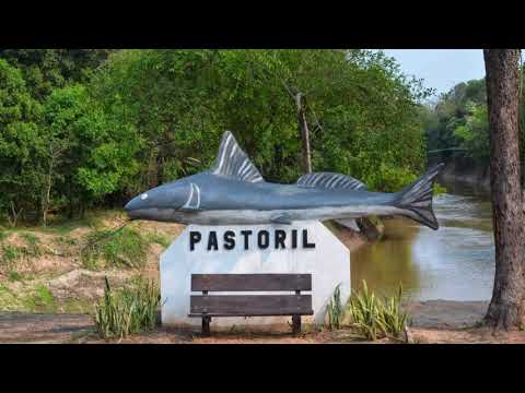 INVITAN AL CAMPING DE COLONIA PASTORIL