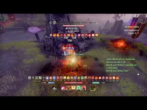 ESO Broken Dragonknigth PvP gameplay and build ☠️ insane Dots☠️ Build Solo And group/Eso Necrom