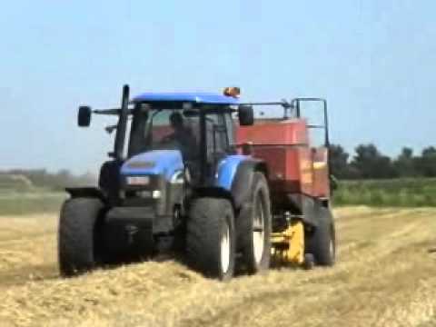 446 Vanslambrouck: Grootpakpersen.