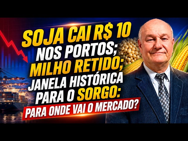 Soja Cai R$ 10 nos Portos; Milho Retido; Janela Histórica para o Sorgo: Para Onde Vai o Mercado?