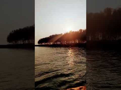 Minnaaramaayyi Minnunnoreeee