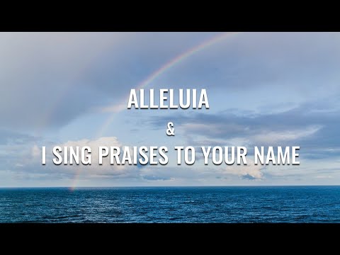 Alleluia & I Sing Praises To Your Name Instrumental worship (flute+strings) /3HOURS 임재찬양
