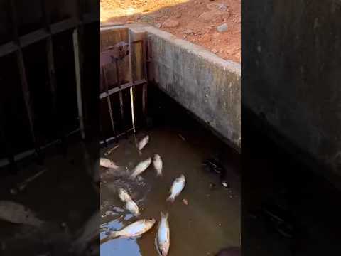 a titia m0rei4 chegou