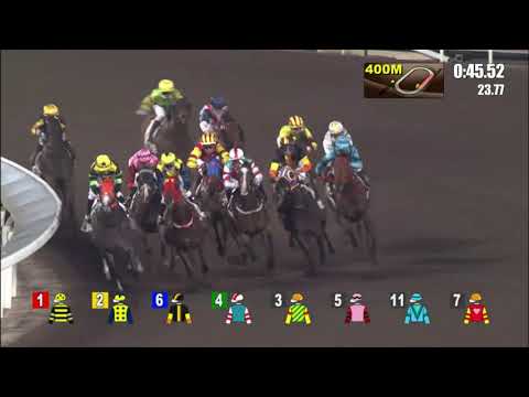 27/10/2021 (123) The Elites - V Borges