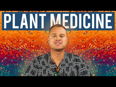 A Master Shaman's Guide To Ayahuasca - Hamilton Souther | Modern Wisdom Podcast 247