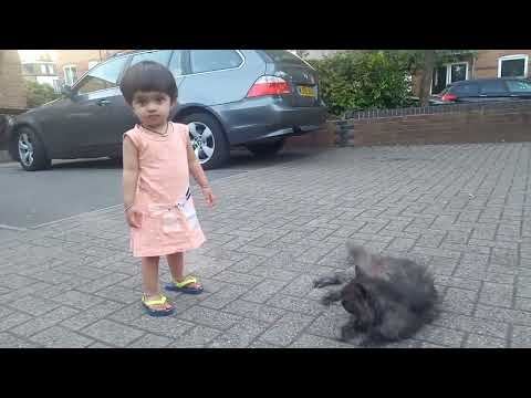 Little Jazz with Kitty