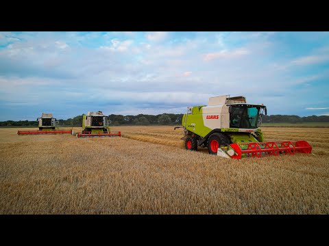 A Johnson's Claas Lexion 750TT and 2 x 630's cutting barley for Alan Baybutt & Sons Ltd (4K)