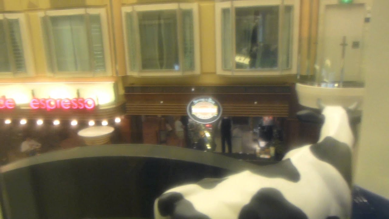 Independence of the Seas - Cabin 6305 - Video 1