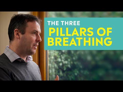 The 3 Pillars of Breathing With Patrick McKeown