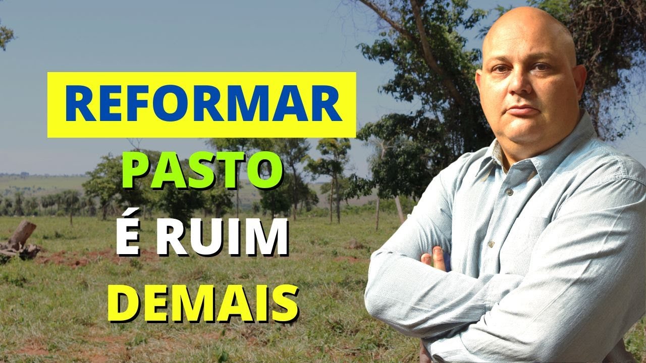 REFORMAR PASTO É A PIOR COISA QUE O PRODUTOR RURAL PODE FAZER NA SUA FAZENDA | PROF. MARCELO COSTA