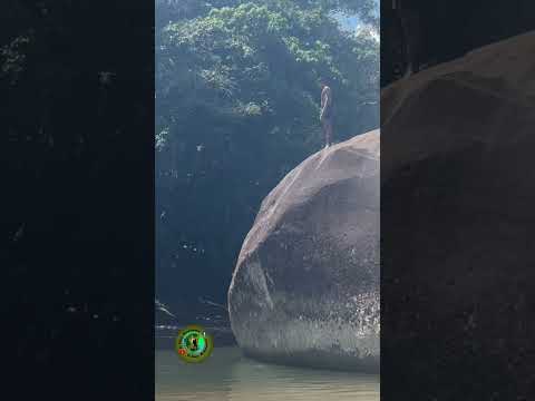 Un clavado en este rio Cristalino | Naturaleza y agua es vida 🙌🏻🌳🍃💧