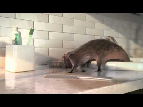 CGI 3D Animated Spot HD   Sink   by   Dvein   Blacklist