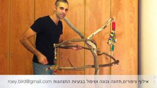 אילוף תוכים איך לבנות סטנד לתוכי