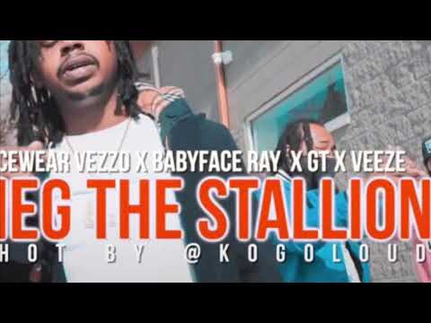 BABYFACE RAY x ICEWEAR VEZZO x GT x VEEZE x 2PAC -Dear, Meg The Stallion