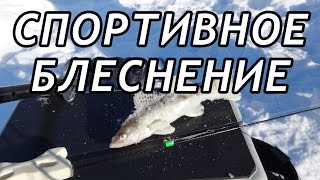 Зимняя рыбалка теория